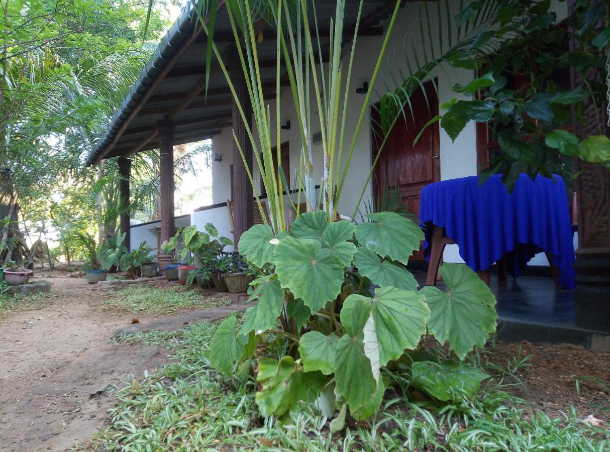 Charly'S Lodge Sigiriya Exterior foto